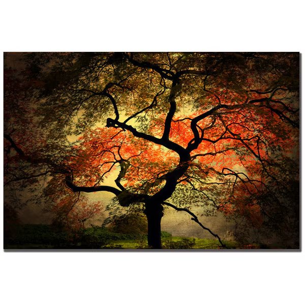 Philippe Sainte-Laudy 'Japanese' Canvas Art, 22x32, Trademark Fine Art, Mfr#: PSL020-C2232GG